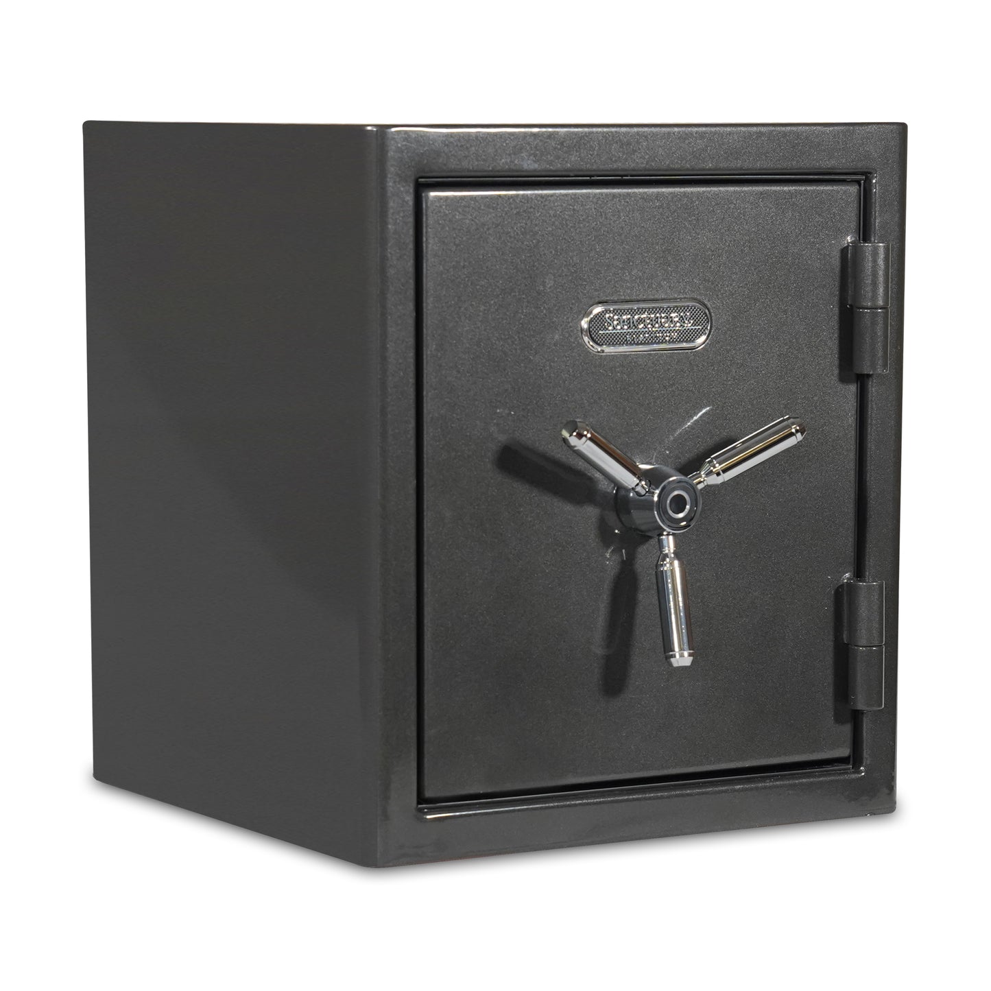 Sanctuary Platinum 2 Biometric Homesafe