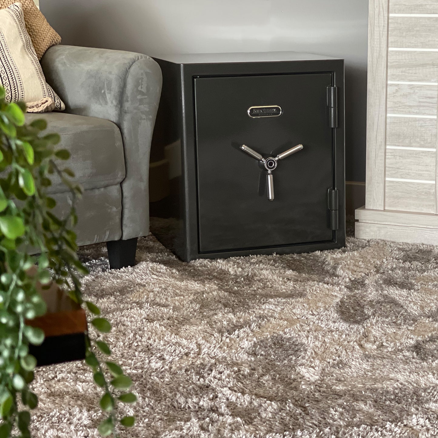 Sanctuary Platinum 3 Biometric Homesafe