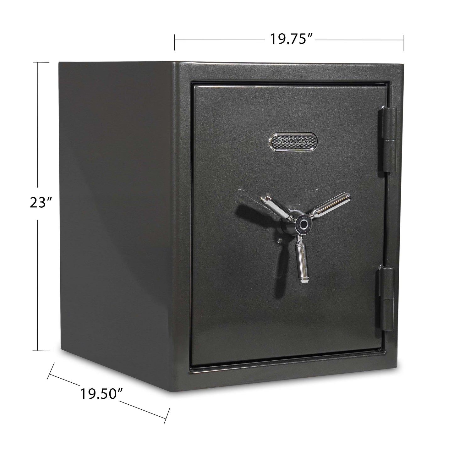 Sanctuary Platinum 3 Biometric Homesafe